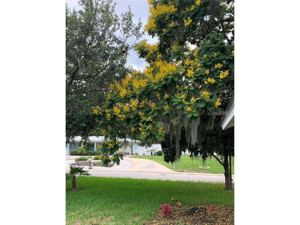 6370 Conniewood Square New Port Richey FL 34653 O6262711 image42