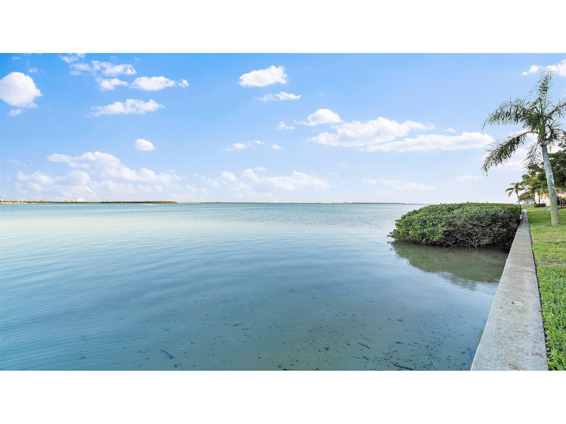 6372 Palma Del Mar Boulevard S #207 Saint Petersburg FL 33715 - BOCA CIEGA BAY TB8517467 image47