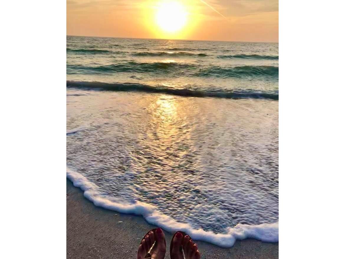 6372 Palma Del Mar Boulevard S #304 Saint Petersburg FL 33715 TB8484358 image69