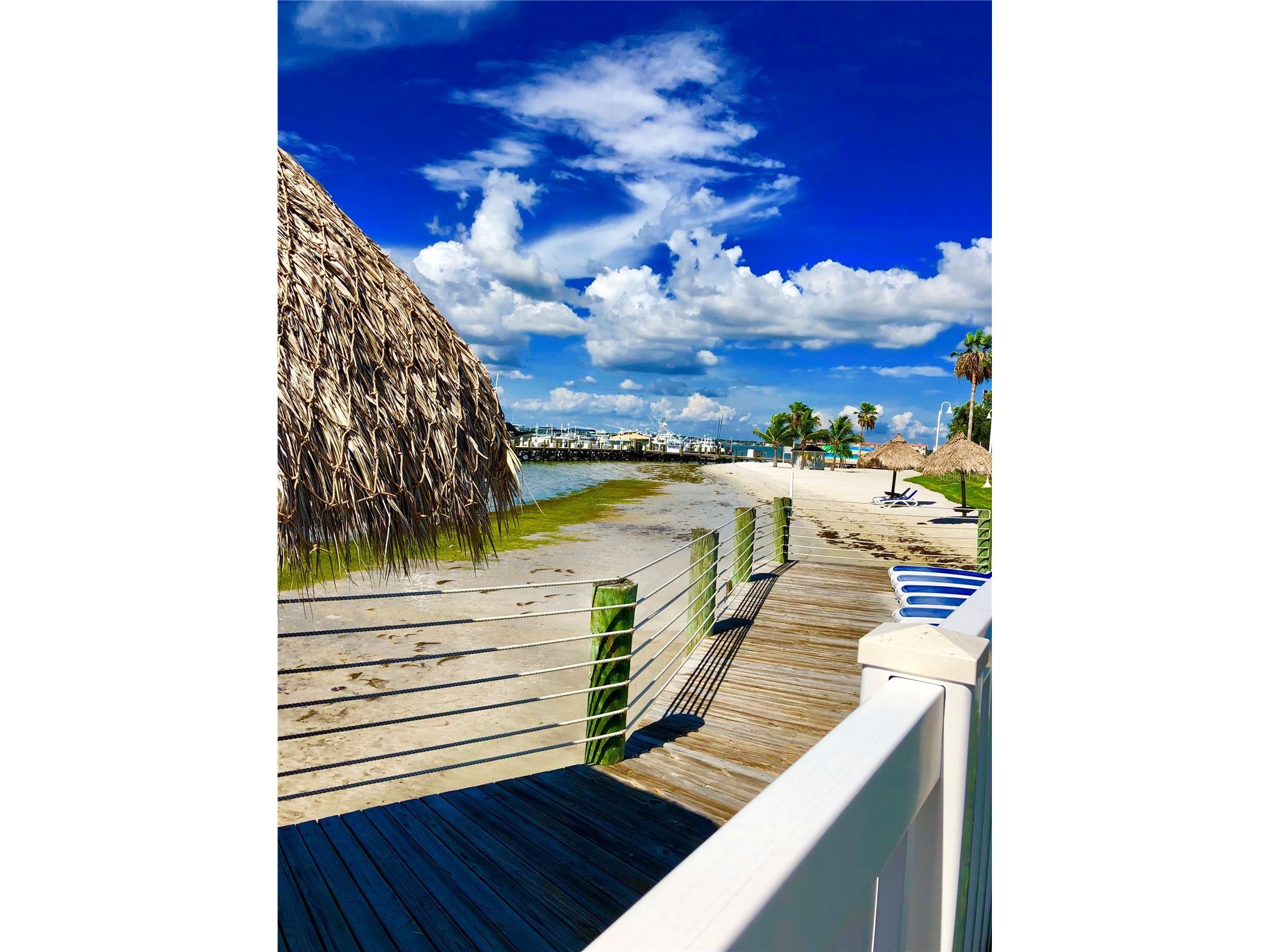 6372 Palma Del Mar Boulevard S #304 Saint Petersburg FL 33715 TB8484358 image73