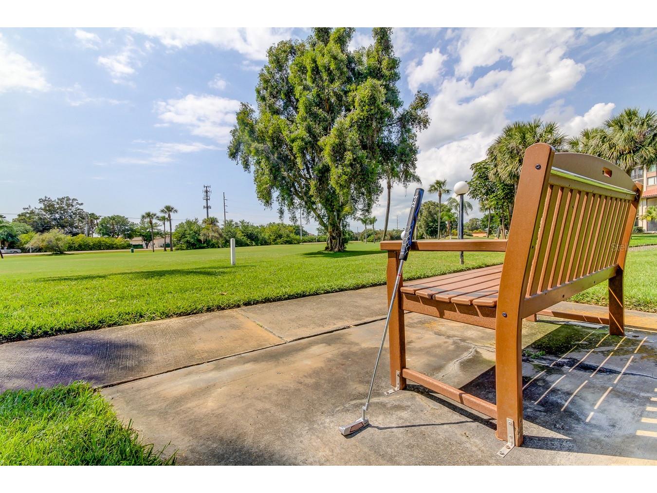 6372 Palma Del Mar Boulevard S #304 Saint Petersburg FL 33715 TB8484358 image75