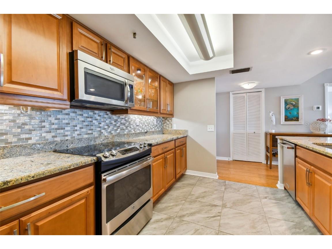 6372 Palma Del Mar Boulevard S #605 Saint Petersburg FL 33715 TB8436767 image10