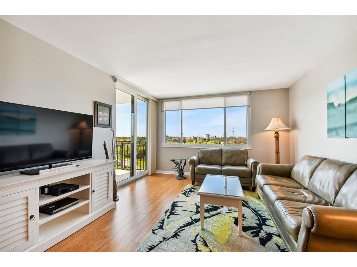 6372 Palma Del Mar Boulevard S #605 Saint Petersburg FL 33715 TB8436767 image18