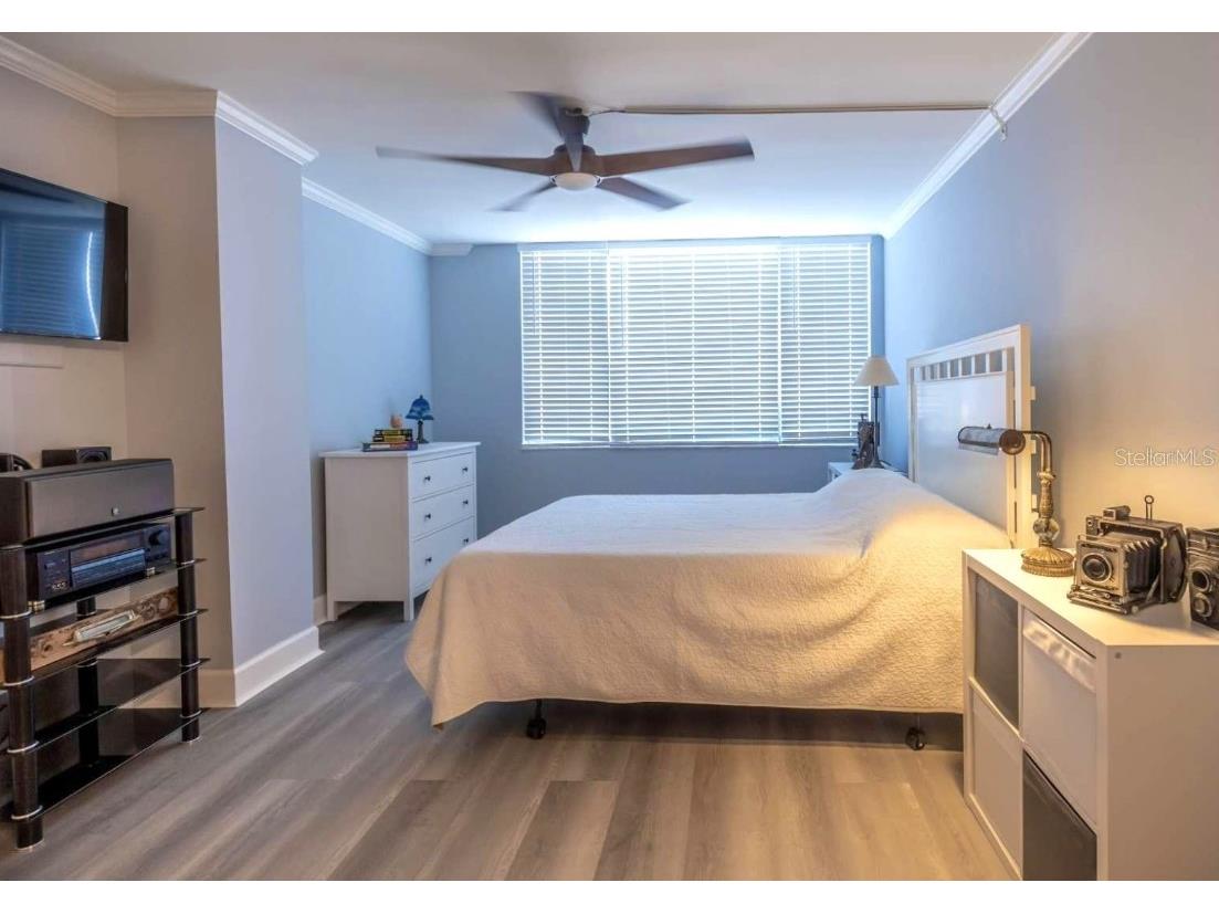 6372 Palma Del Mar Boulevard S #705 Saint Petersburg FL 33715 TB8410095 image15