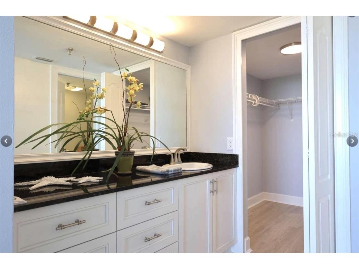 6372 Palma Del Mar Boulevard S #705 Saint Petersburg FL 33715 TB8410095 image17