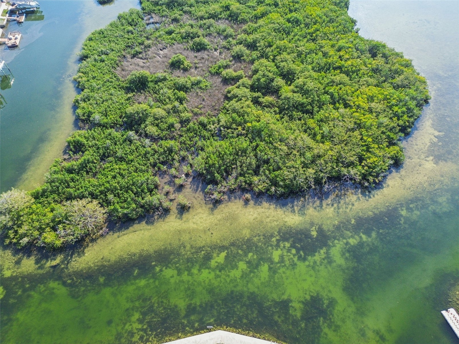 6374 Boatyard Drive Hudson FL 34667 - GULF OF MEXICO TB8461981 image15