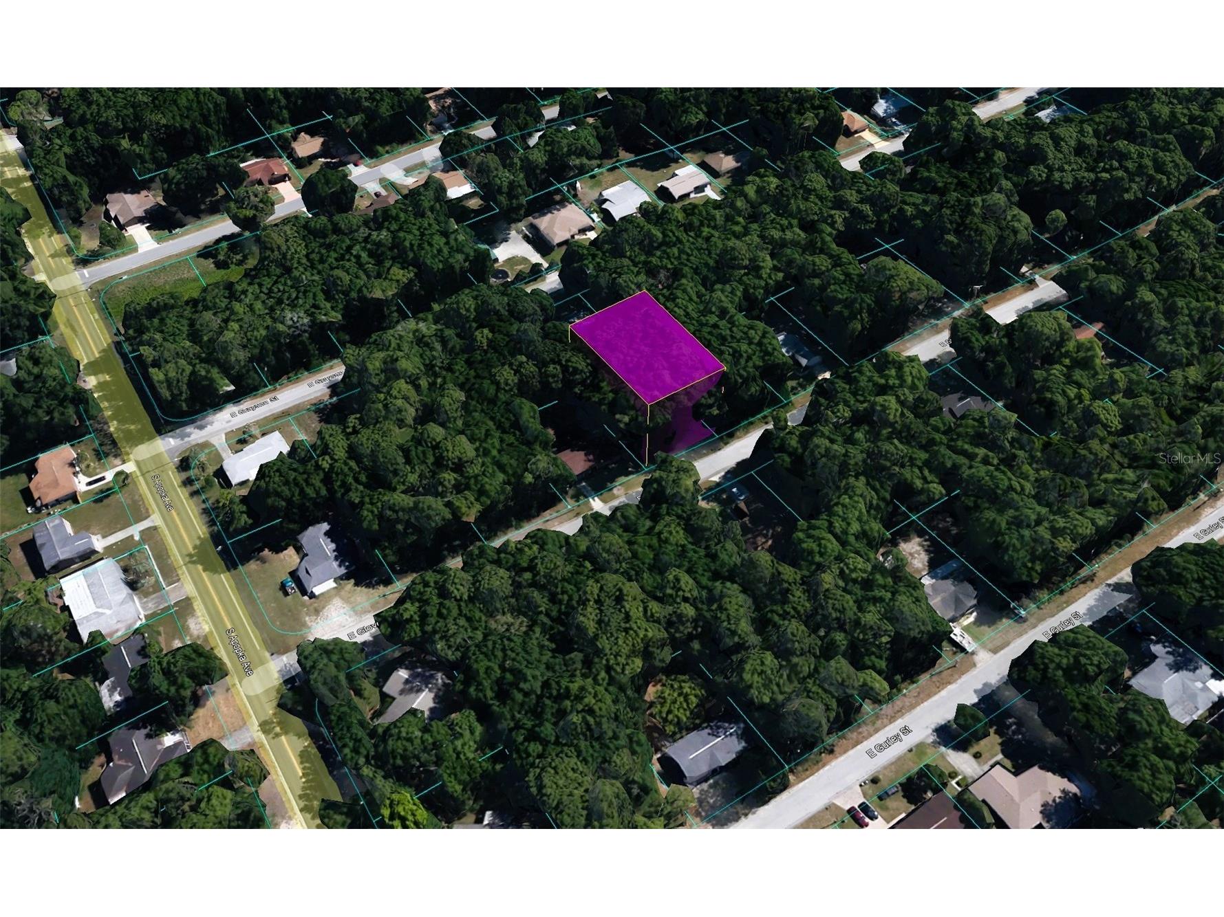 6375 E Glover Street Inverness FL 34452 TB8484835 image3