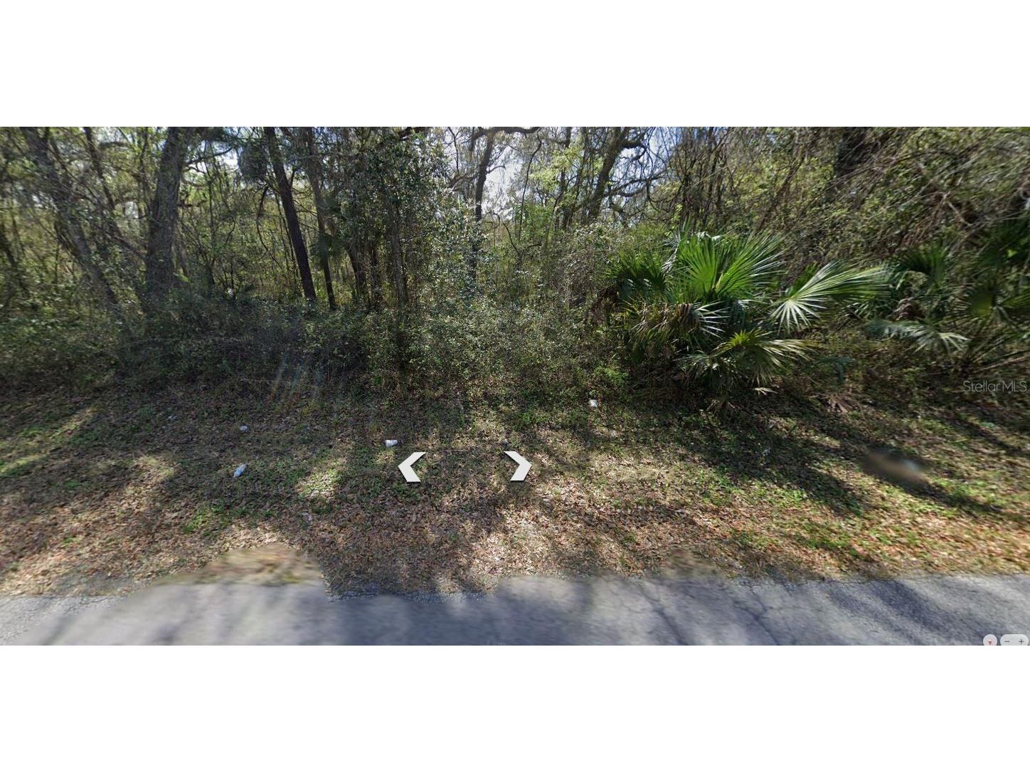6376 E Seneca Street Inverness FL 34452 OM723260 image2