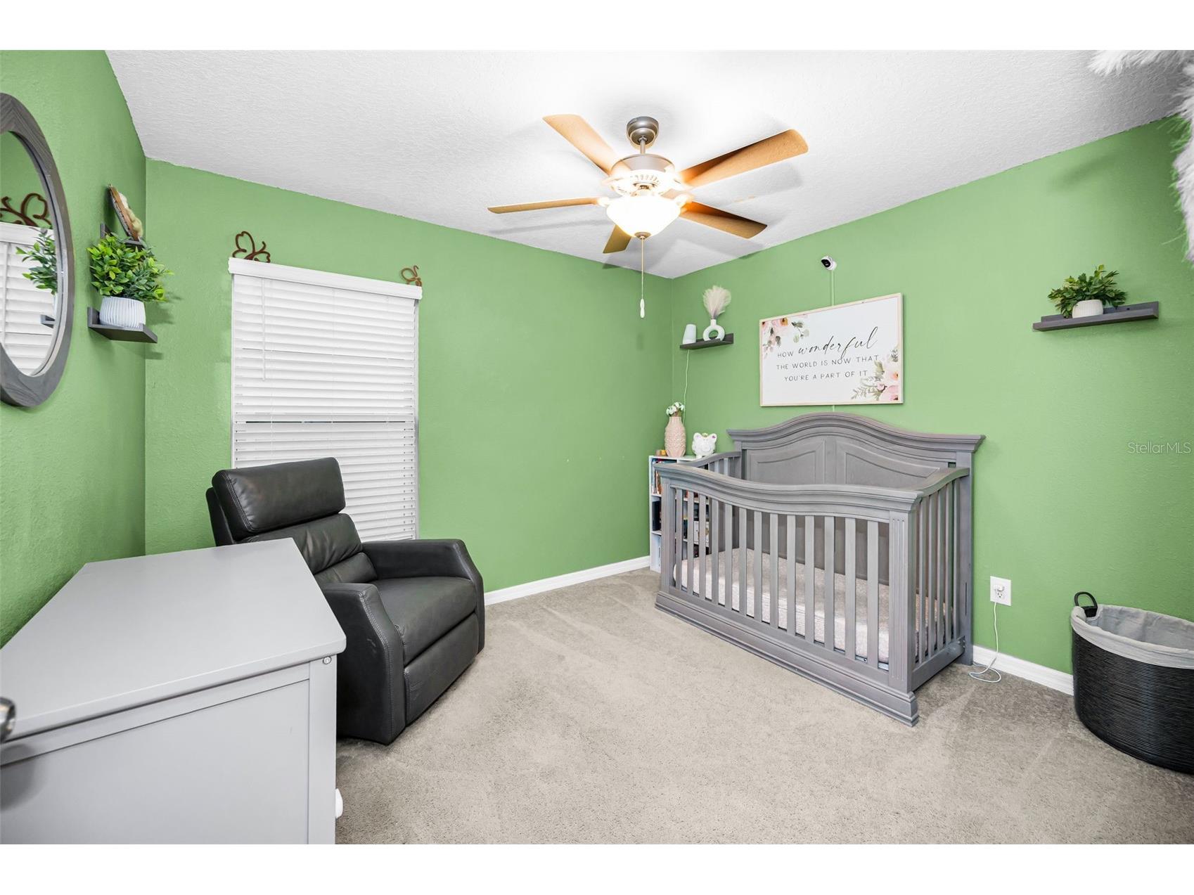 6376 Spider Lily Way New Port Richey FL 34653 W7887293 image34