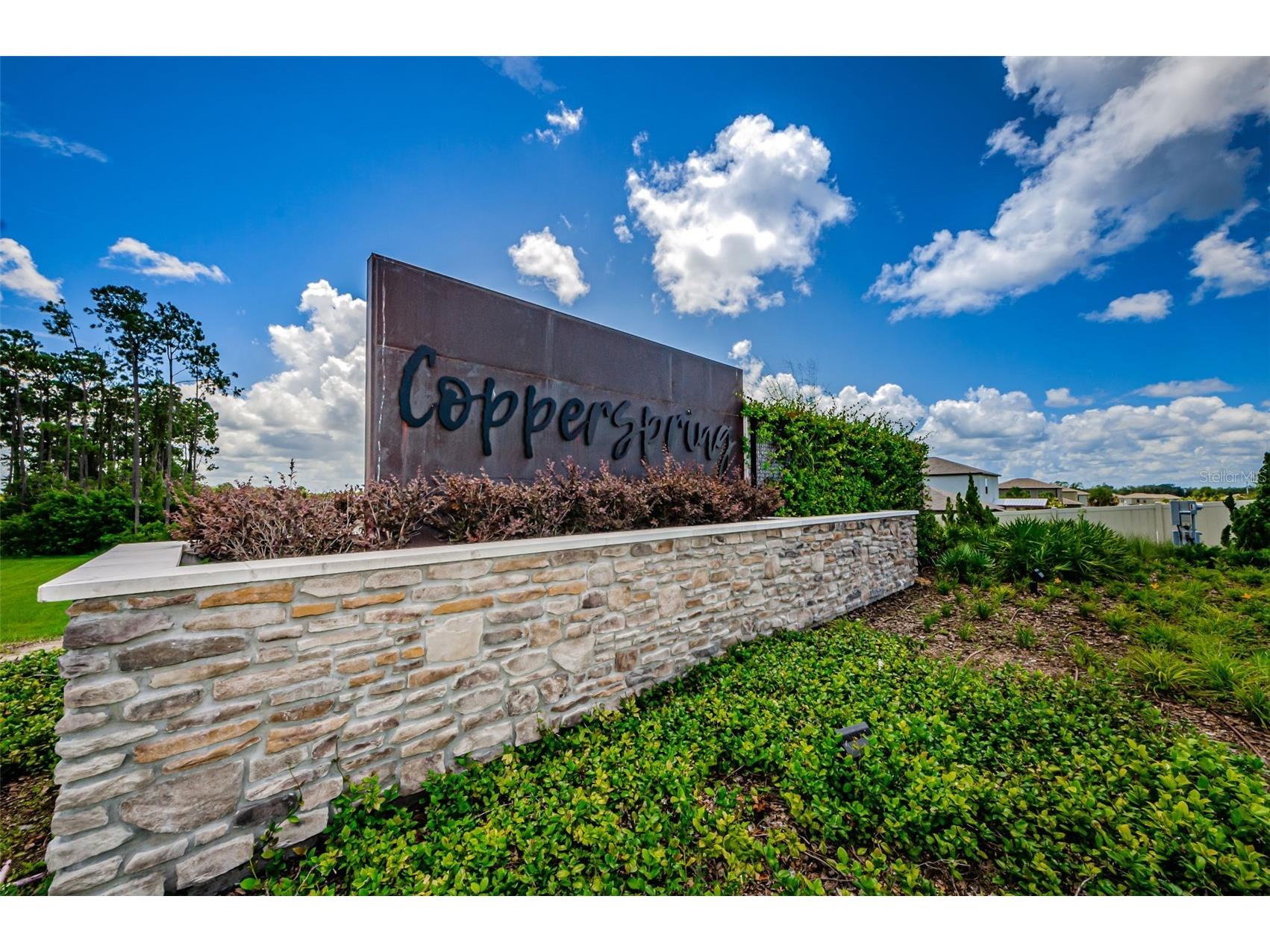 6376 Spider Lily Way New Port Richey FL 34653 W7887293 image65