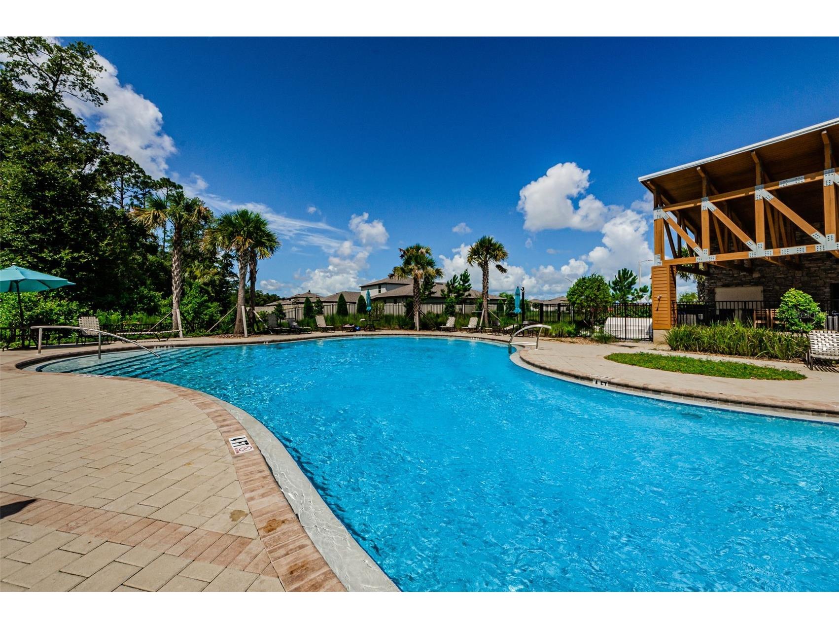 6376 Spider Lily Way New Port Richey FL 34653 W7887293 image69
