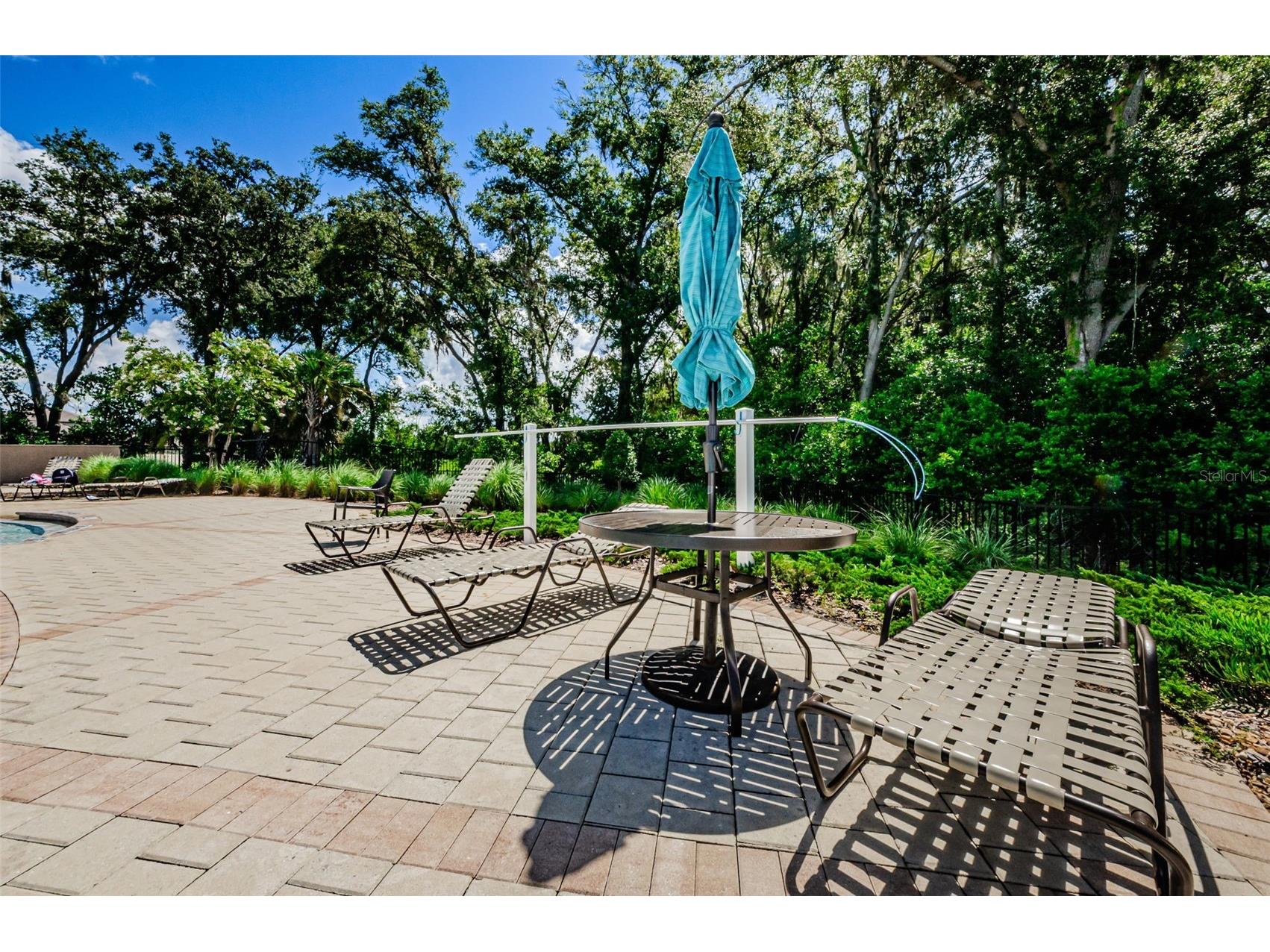 6376 Spider Lily Way New Port Richey FL 34653 W7887293 image70
