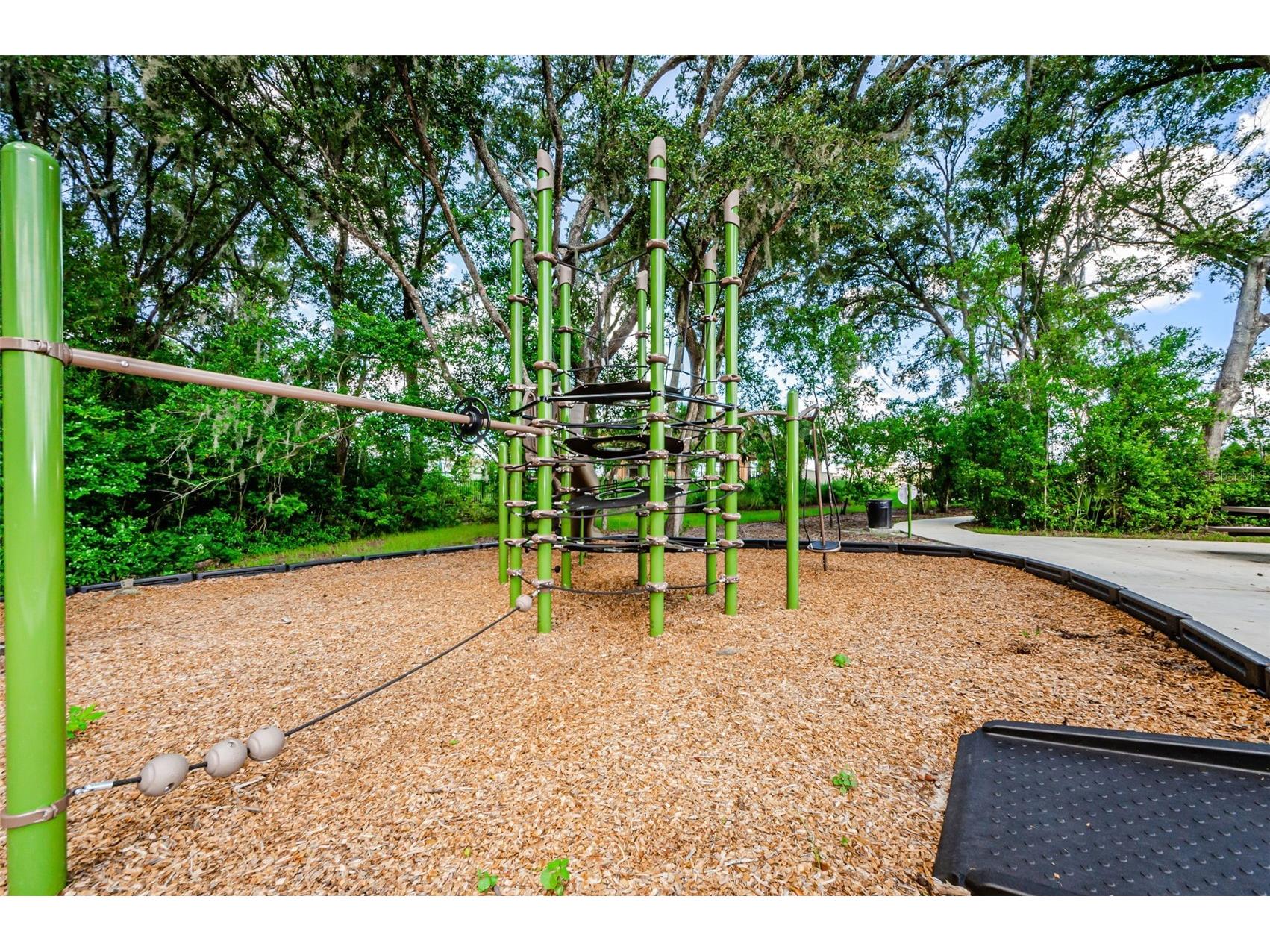 6376 Spider Lily Way New Port Richey FL 34653 W7887293 image84