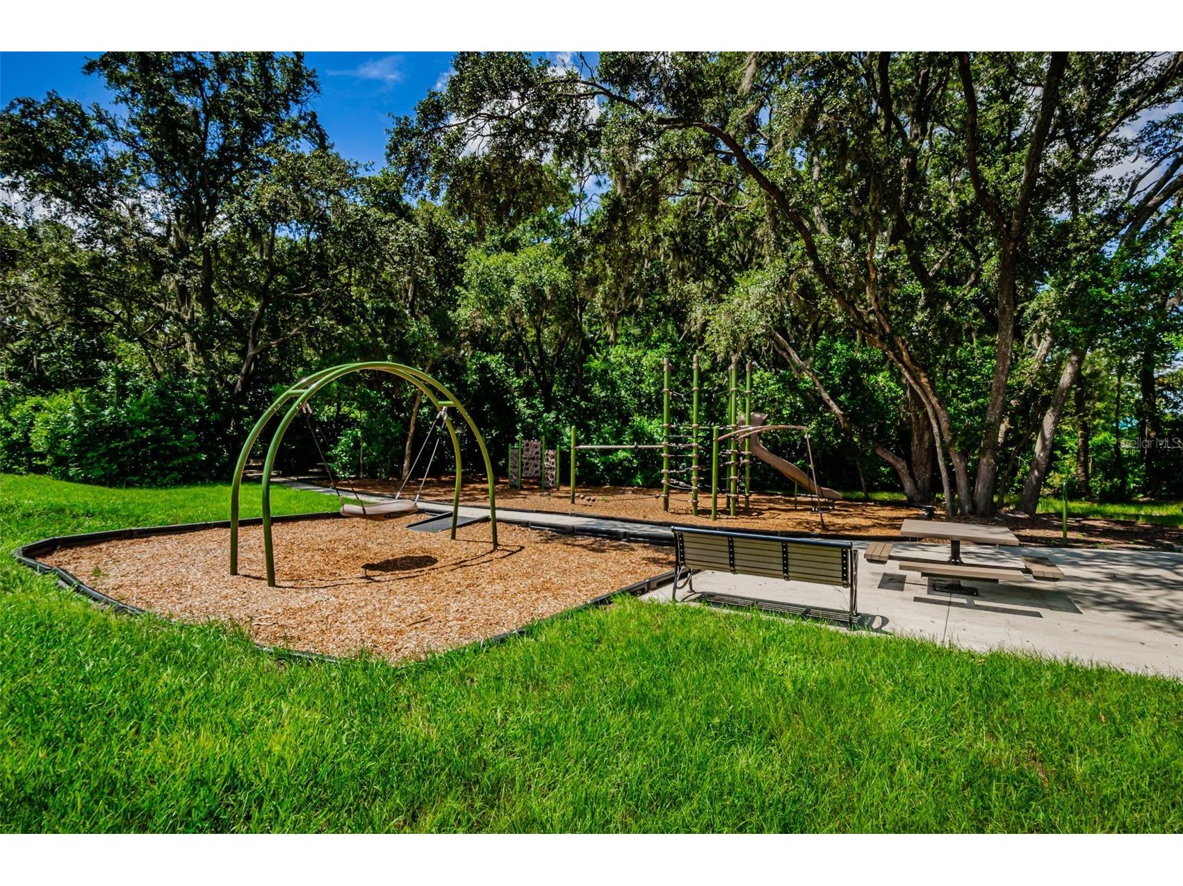 6376 Spider Lily Way New Port Richey FL 34653 W7887293 image85