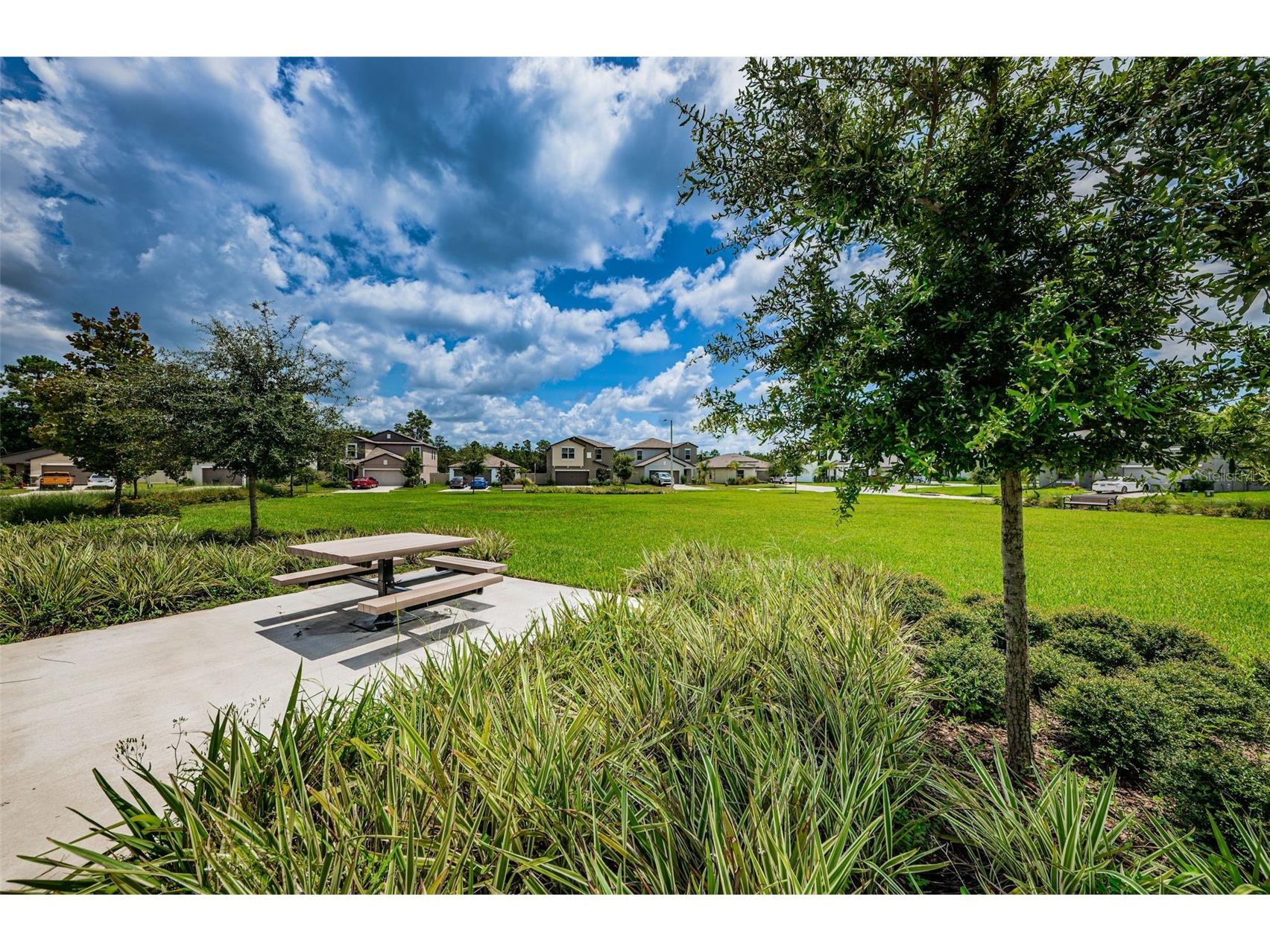 6376 Spider Lily Way New Port Richey FL 34653 W7887293 image87