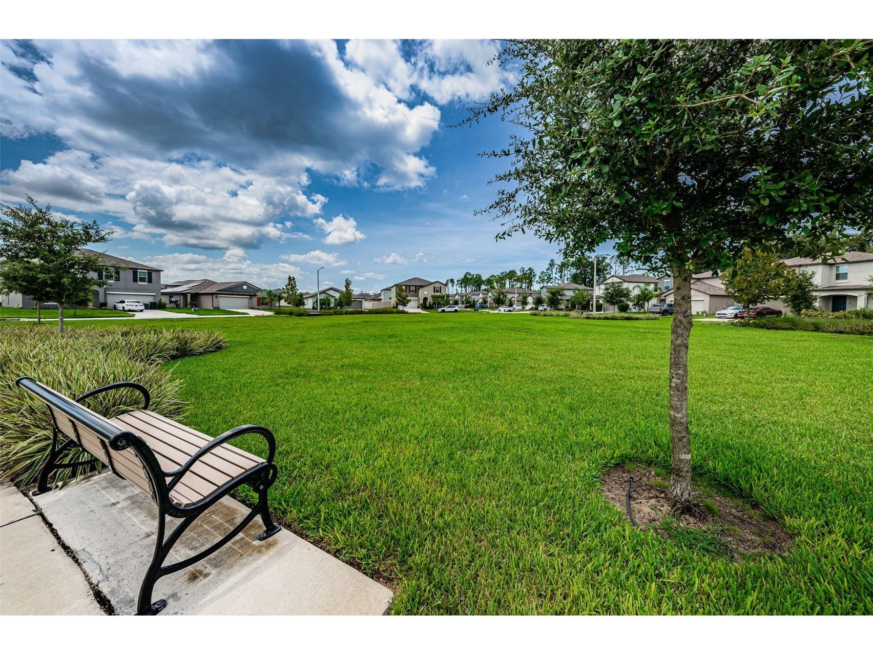 6376 Spider Lily Way New Port Richey FL 34653 W7887293 image88