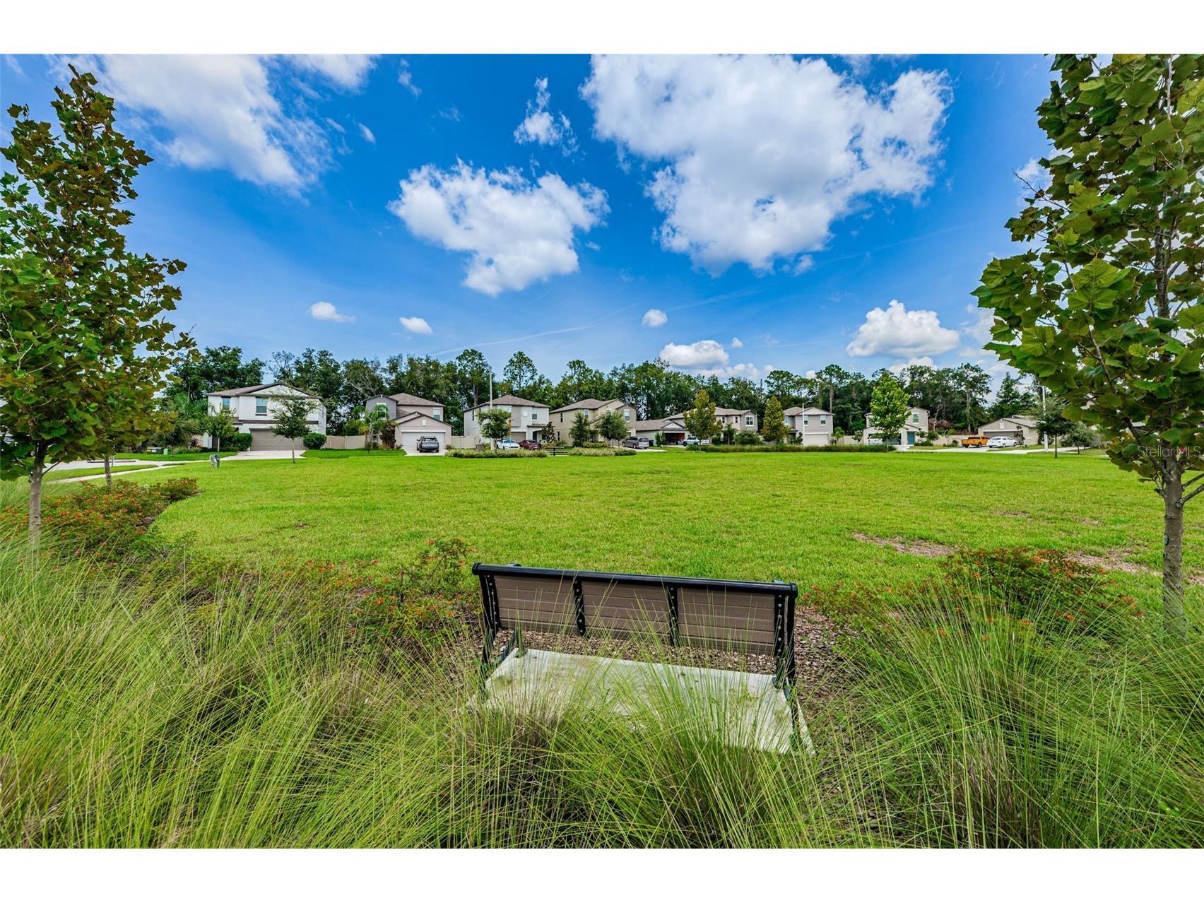 6376 Spider Lily Way New Port Richey FL 34653 W7887293 image89