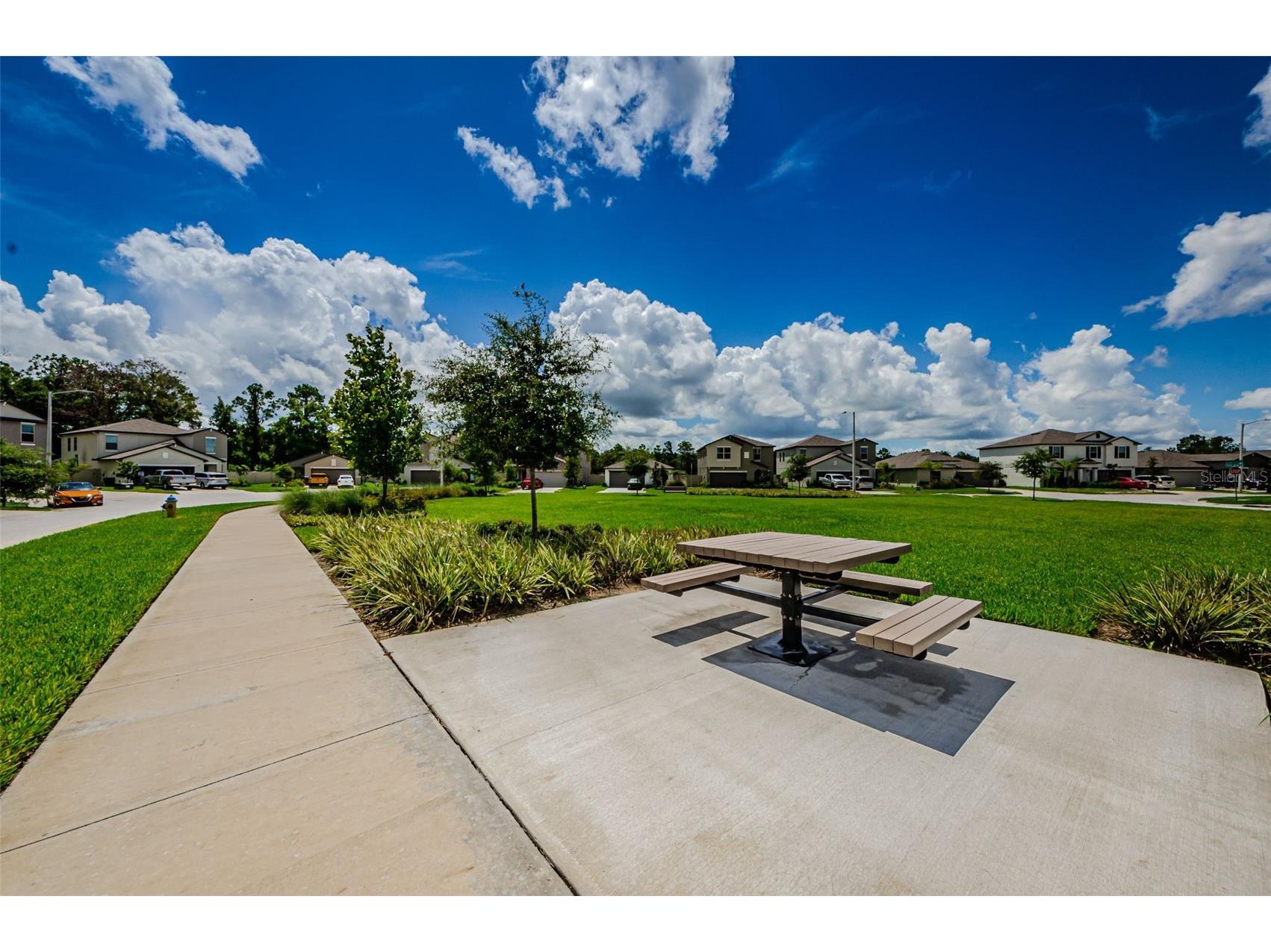 6376 Spider Lily Way New Port Richey FL 34653 W7887293 image90