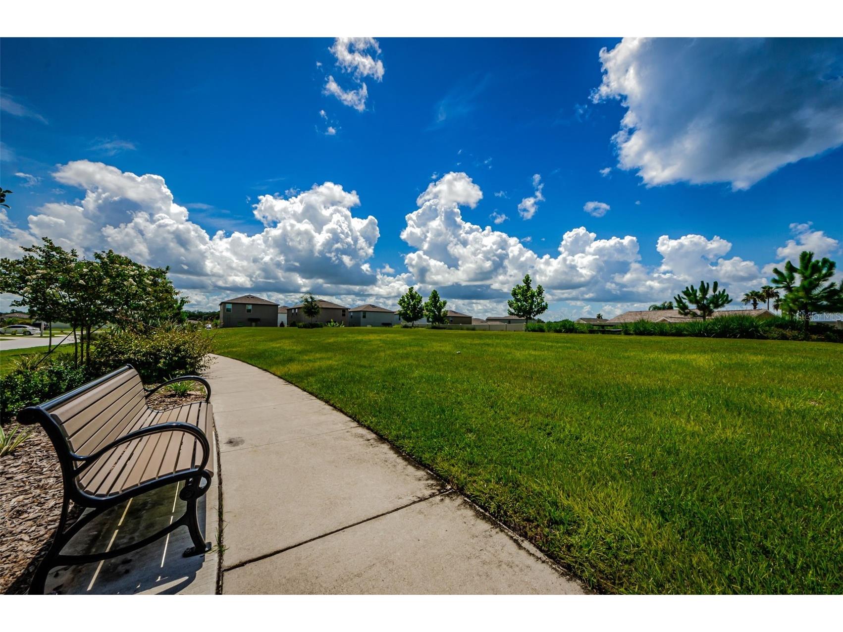 6376 Spider Lily Way New Port Richey FL 34653 W7887293 image91