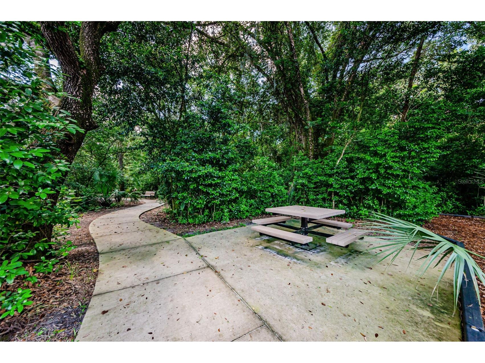 6376 Spider Lily Way New Port Richey FL 34653 W7887293 image92