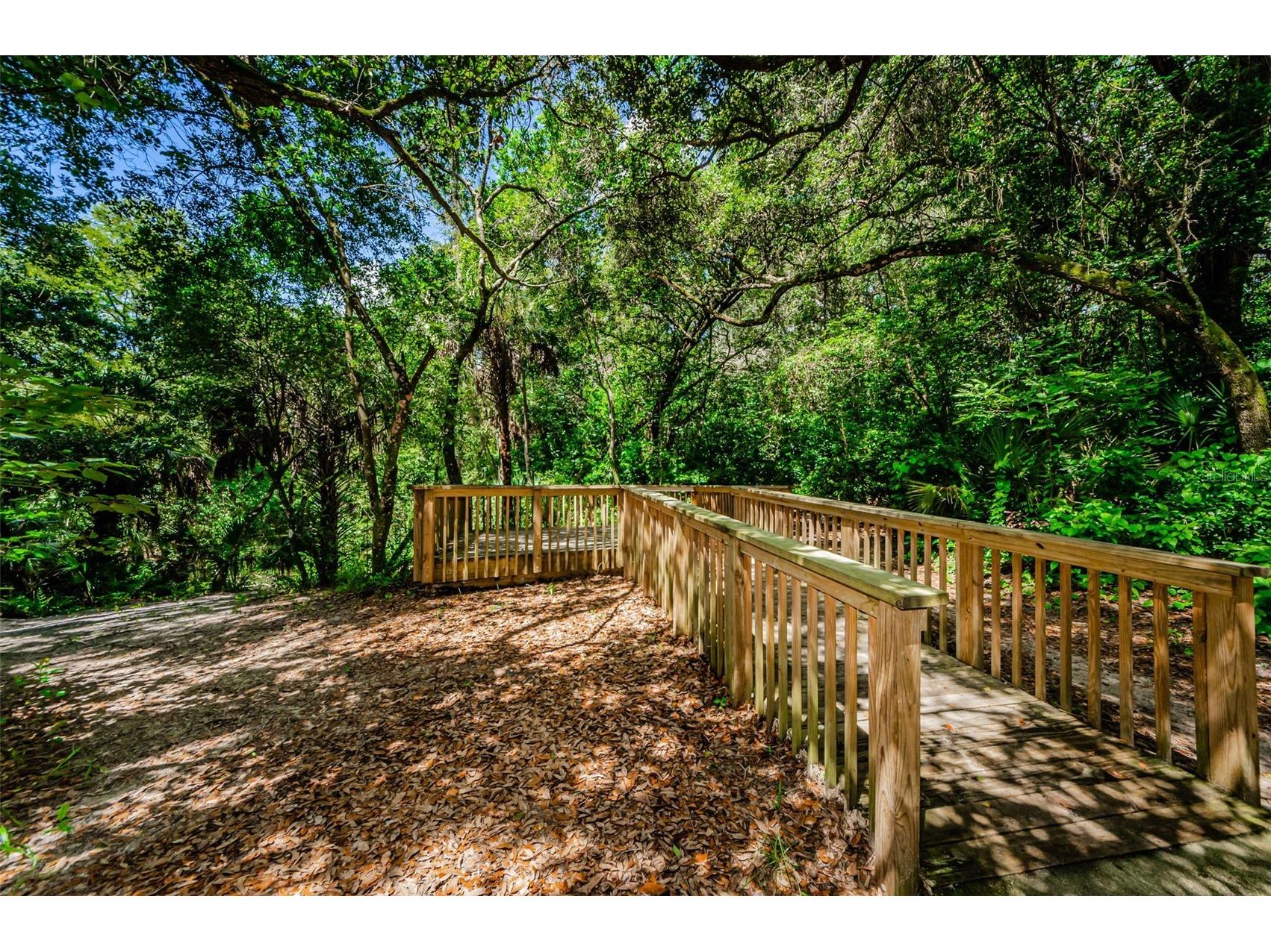 6376 Spider Lily Way New Port Richey FL 34653 W7887293 image96