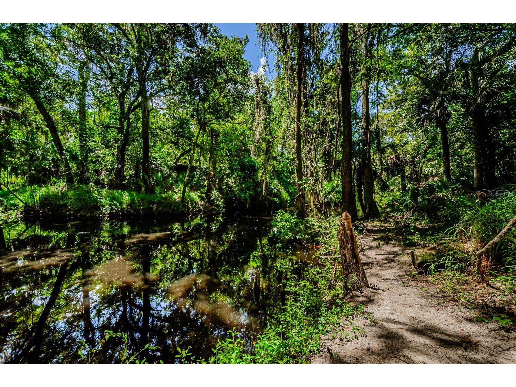 6376 Spider Lily Way New Port Richey FL 34653 W7887293 image97