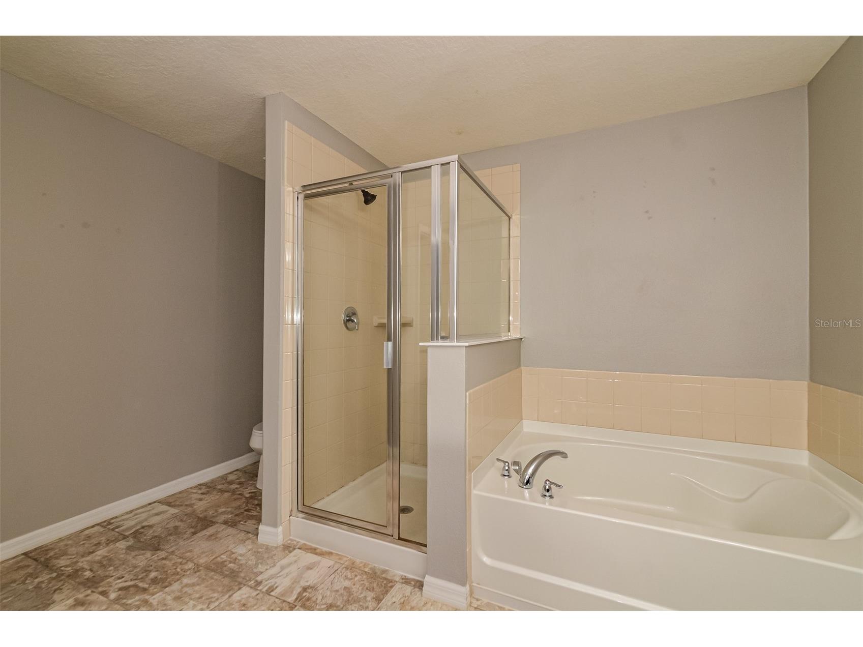 6377 Domenico Court Groveland FL 34736 TB8485040 image17
