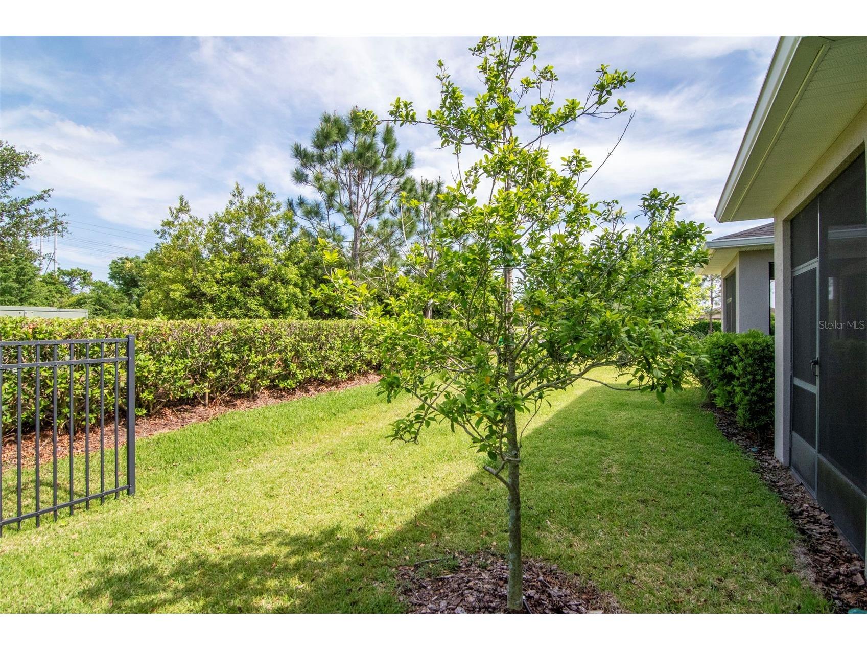 6378 Camino Drive Apollo Beach FL 33572 TB8498472 image29