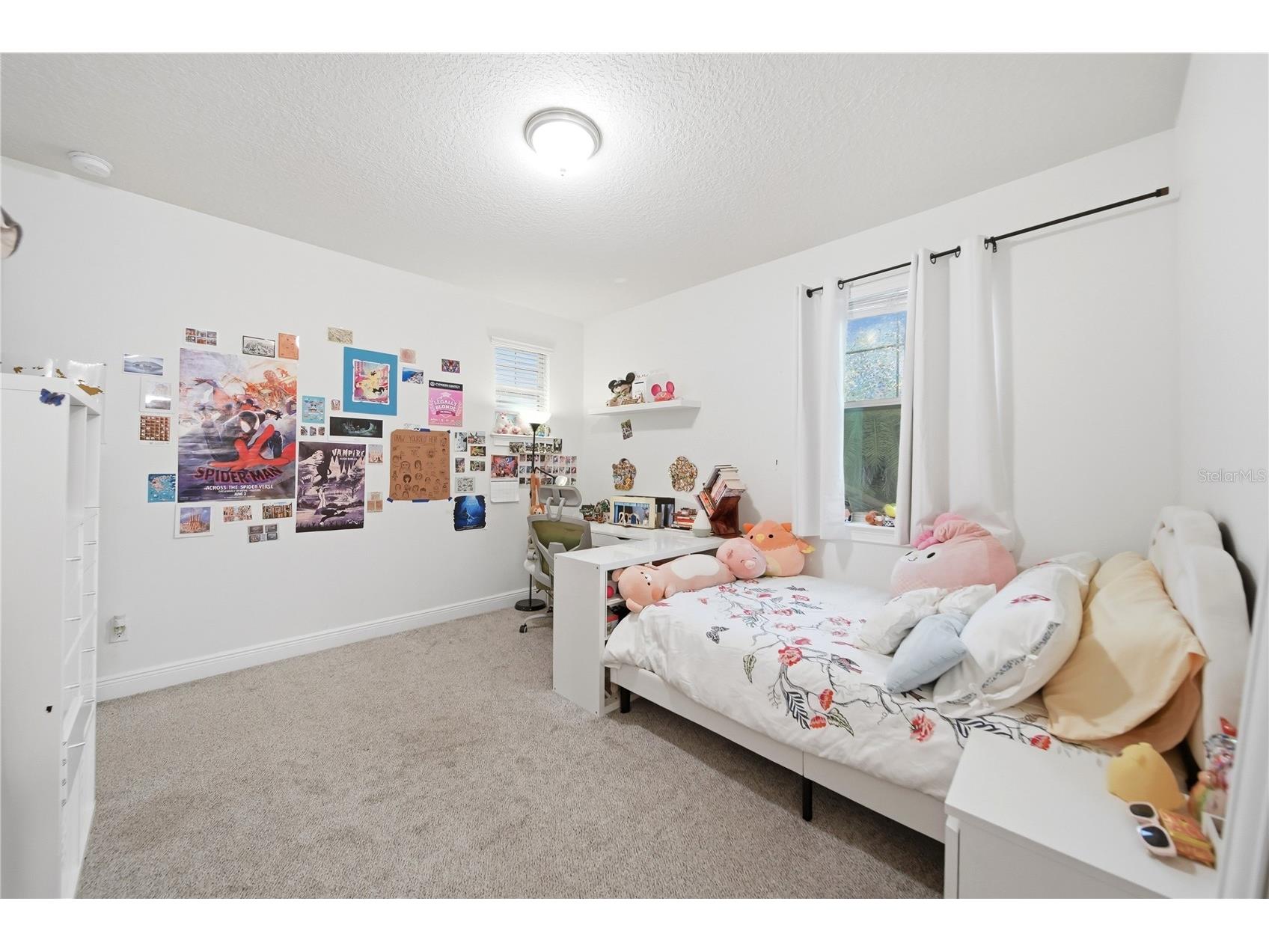 6379 Swanson Street Windermere FL 34786 O6400522 image26
