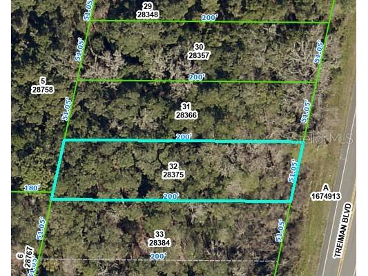 6379 Treiman Boulevard Webster FL 33597 OM647851 image1