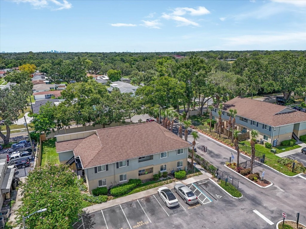 638 Golden Raintree Place Brandon FL 33510 TB8418876 image17