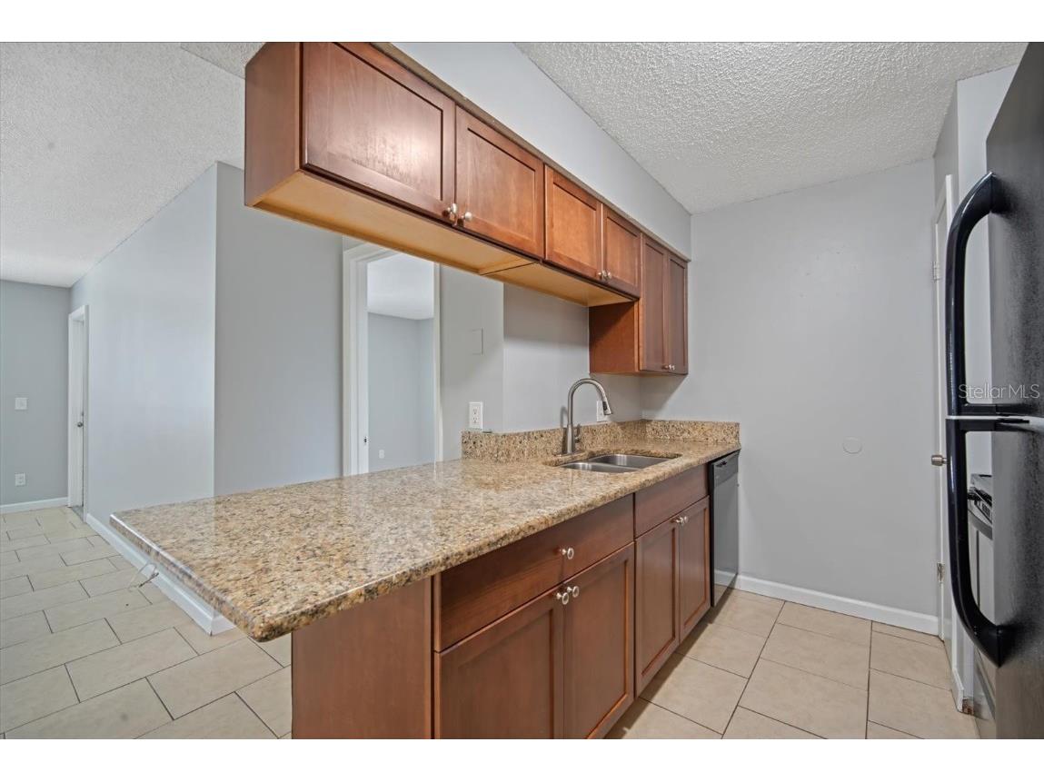 638 Golden Raintree Place Brandon FL 33510 TB8418876 image7