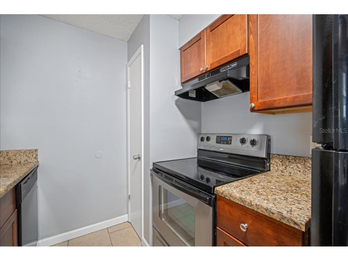 638 Golden Raintree Place Brandon FL 33510 TB8418876 image8