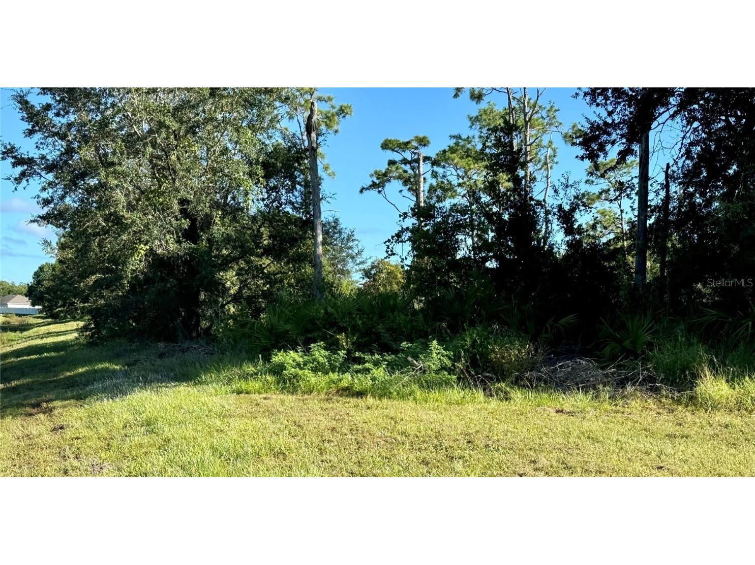 638 Jaguar Court Kissimmee FL 34759 G5088156 image2