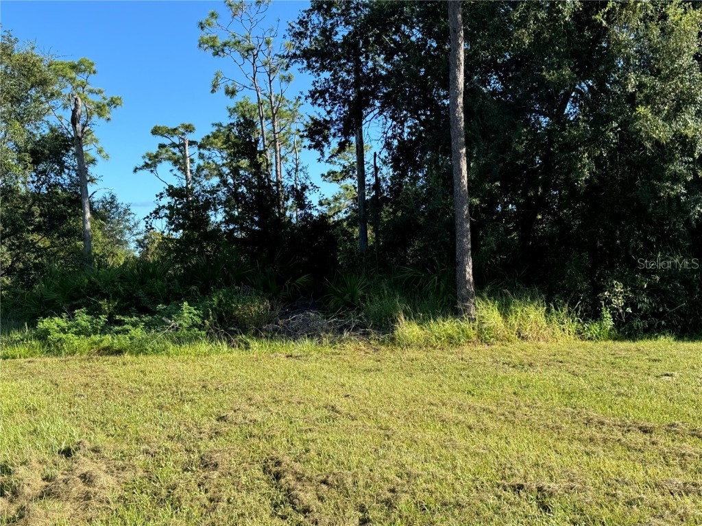 638 Jaguar Court Kissimmee FL 34759 G5088156 image3