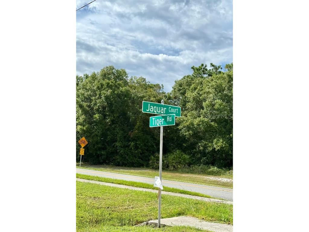 638 Jaguar Court Kissimmee FL 34759 G5088156 image4