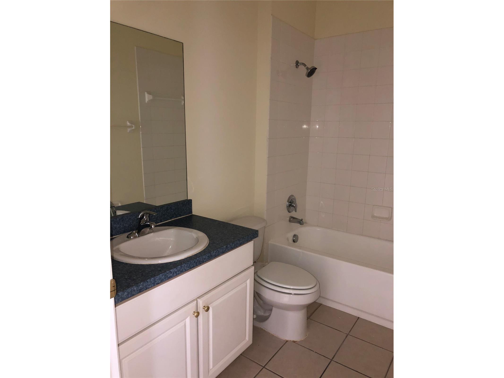 638 Kensington Drive Davenport FL 33897 O6404808 image12