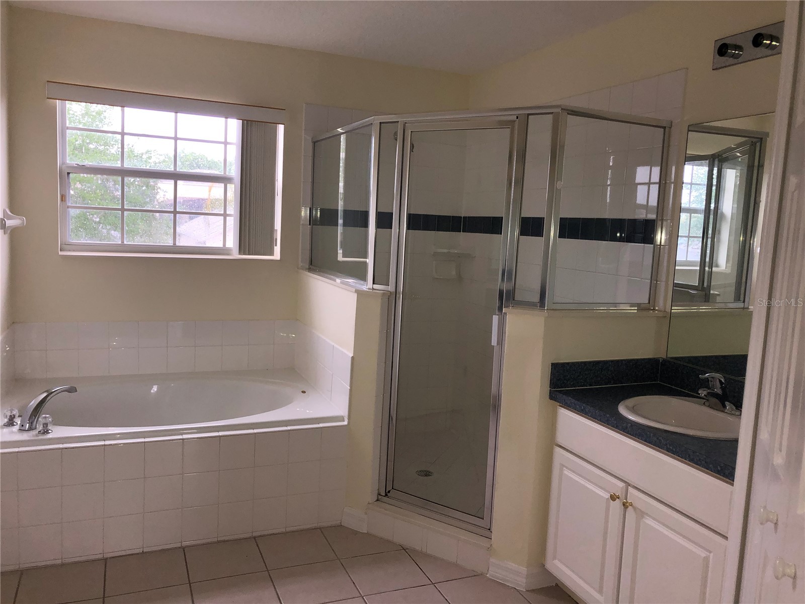 638 Kensington Drive Davenport FL 33897 O6404808 image30
