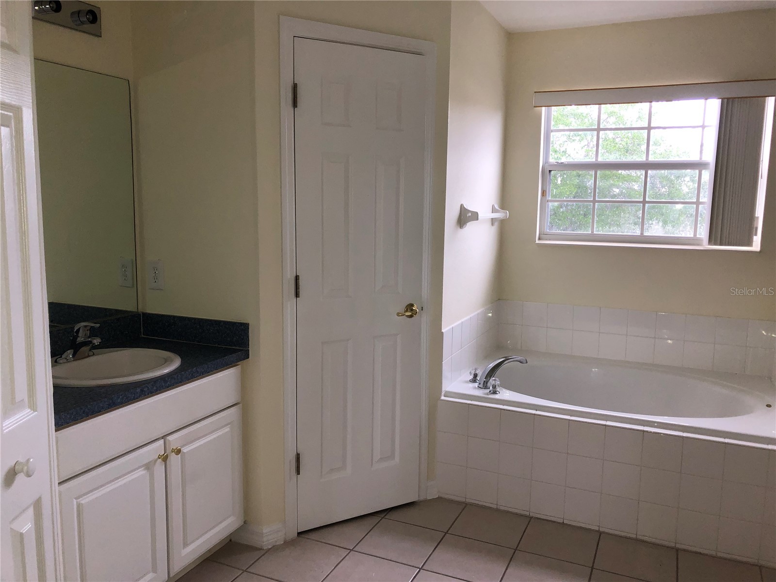 638 Kensington Drive Davenport FL 33897 O6404808 image31