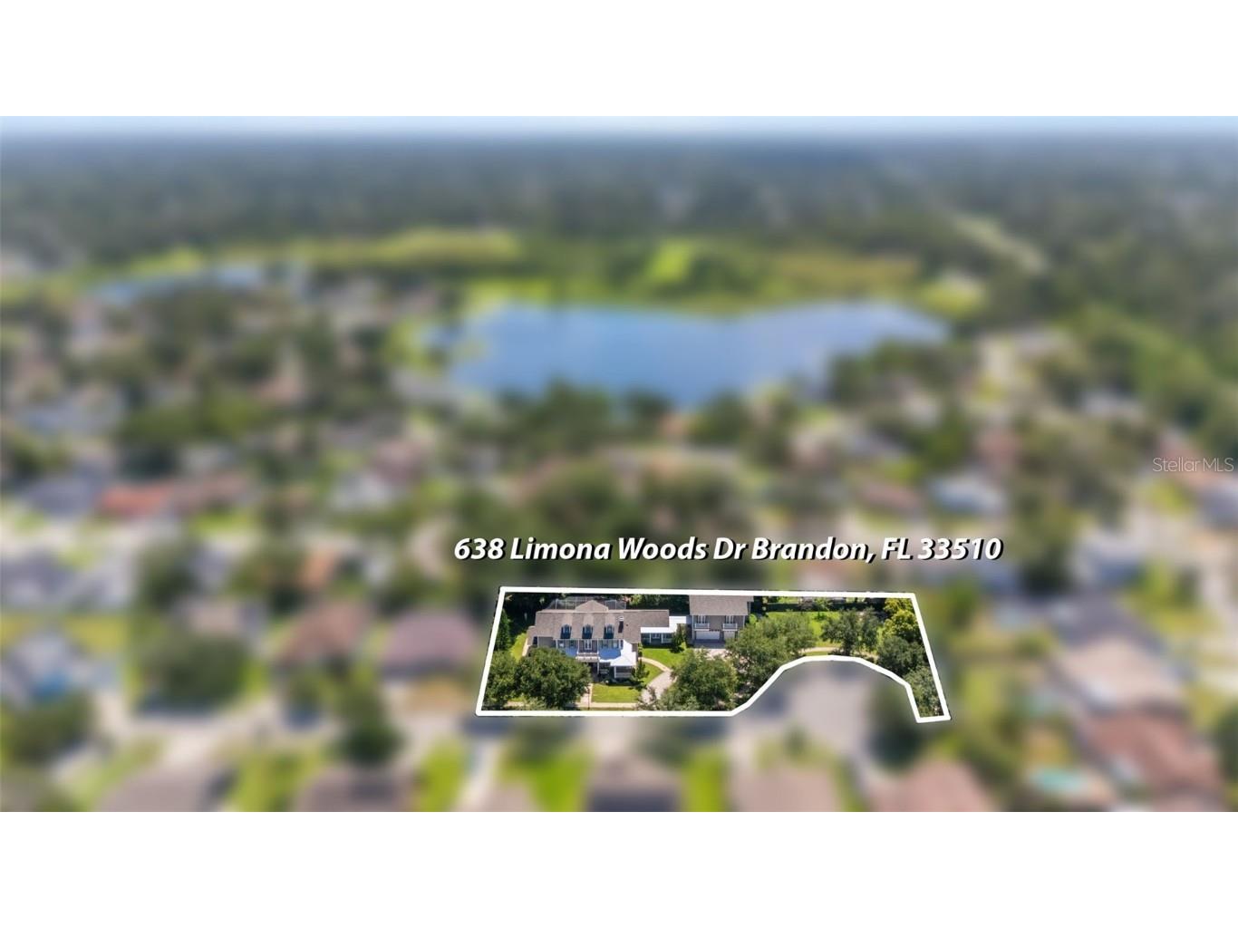 638 Limona Woods Drive Brandon FL 33510 TB8411683 image21