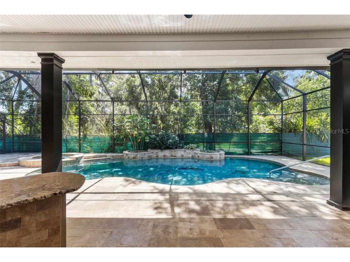 638 Limona Woods Drive Brandon FL 33510 TB8411683 image64