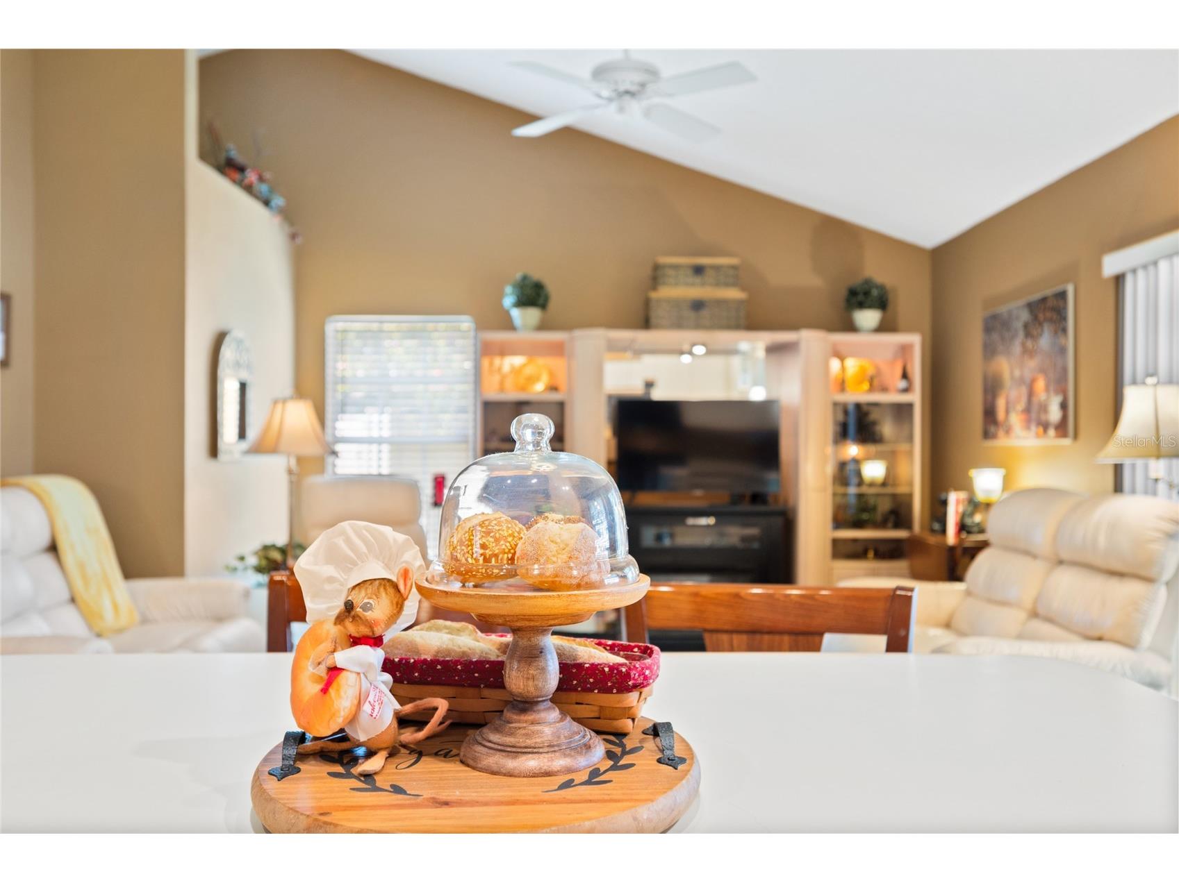 638 White River Drive Orlando FL 32828 O6415920 image28