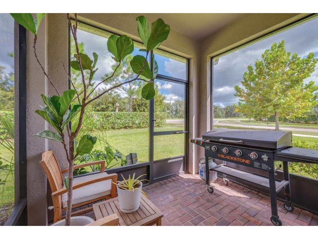 6380 Camino Drive Apollo Beach FL 33572 TB8432837 image3