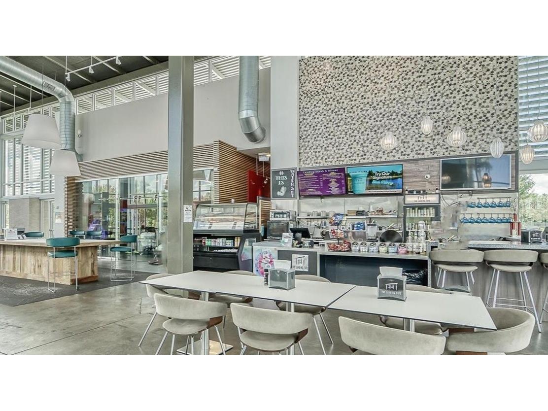 6380 Camino Drive Apollo Beach FL 33572 TB8432837 image38