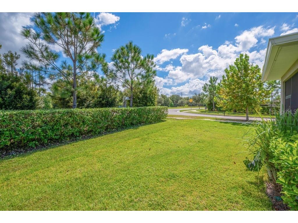 6380 Camino Drive Apollo Beach FL 33572 TB8432837 image5