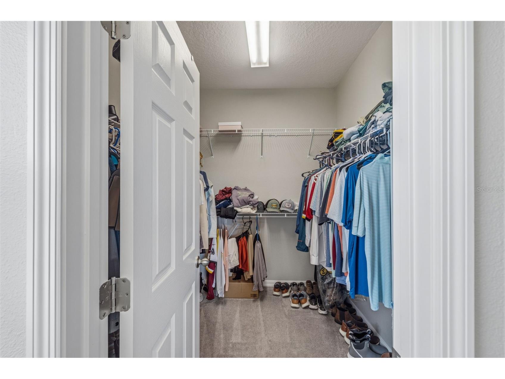 6380 Camino Drive Apollo Beach FL 33572 TB8495587 image16