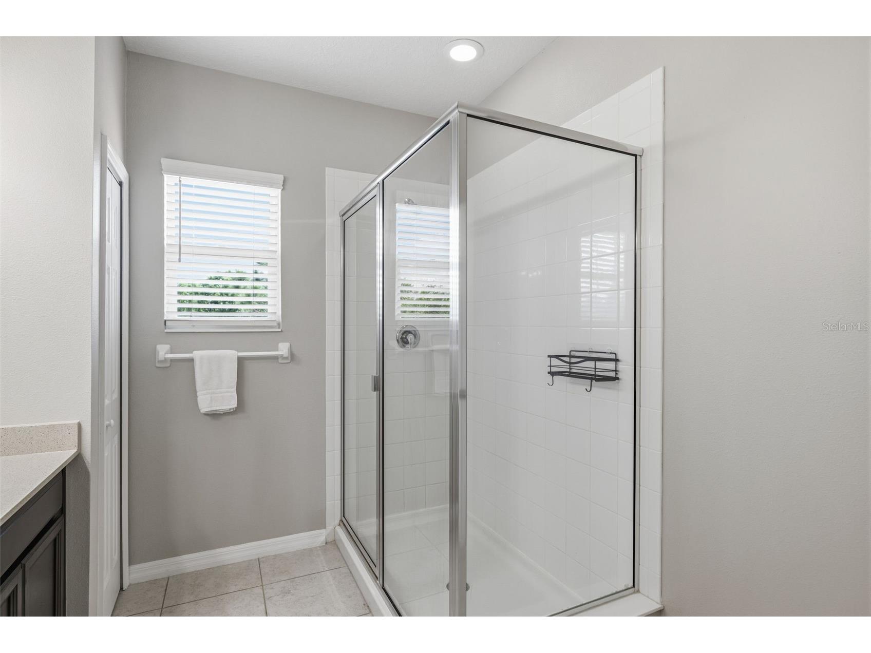 6380 Camino Drive Apollo Beach FL 33572 TB8495587 image18
