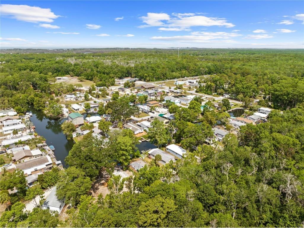 6380 Richard Drive Weeki Wachee FL 34607 TB8384635 image13