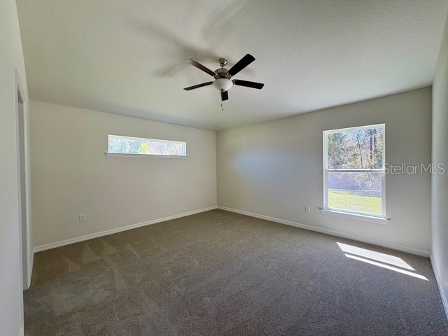 6380 SW 155th Place Ocala FL 34473 OM721642 image14