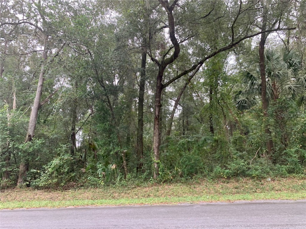 6380 W Goldenleaf Lane Crystal River FL 34429 OM665431 image1